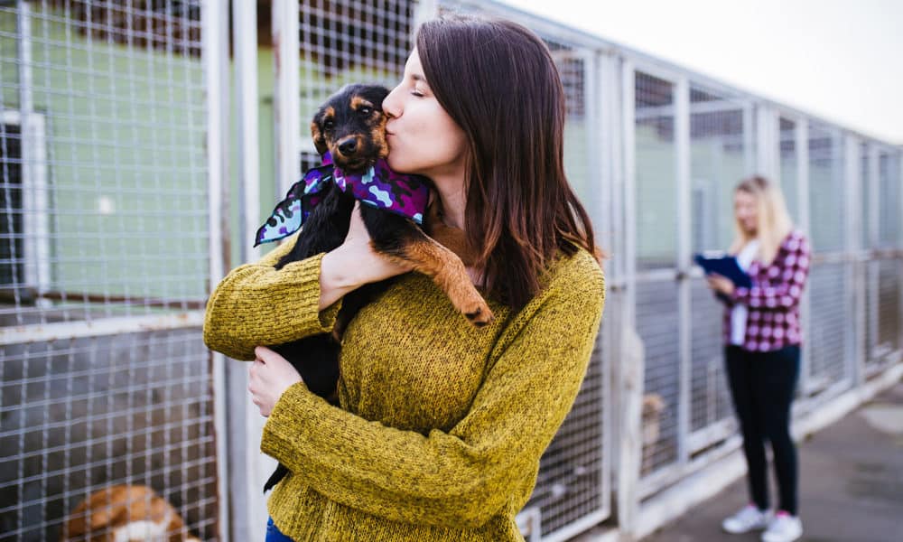 Young woman with worker choosing which dog to adopt from a shelter.