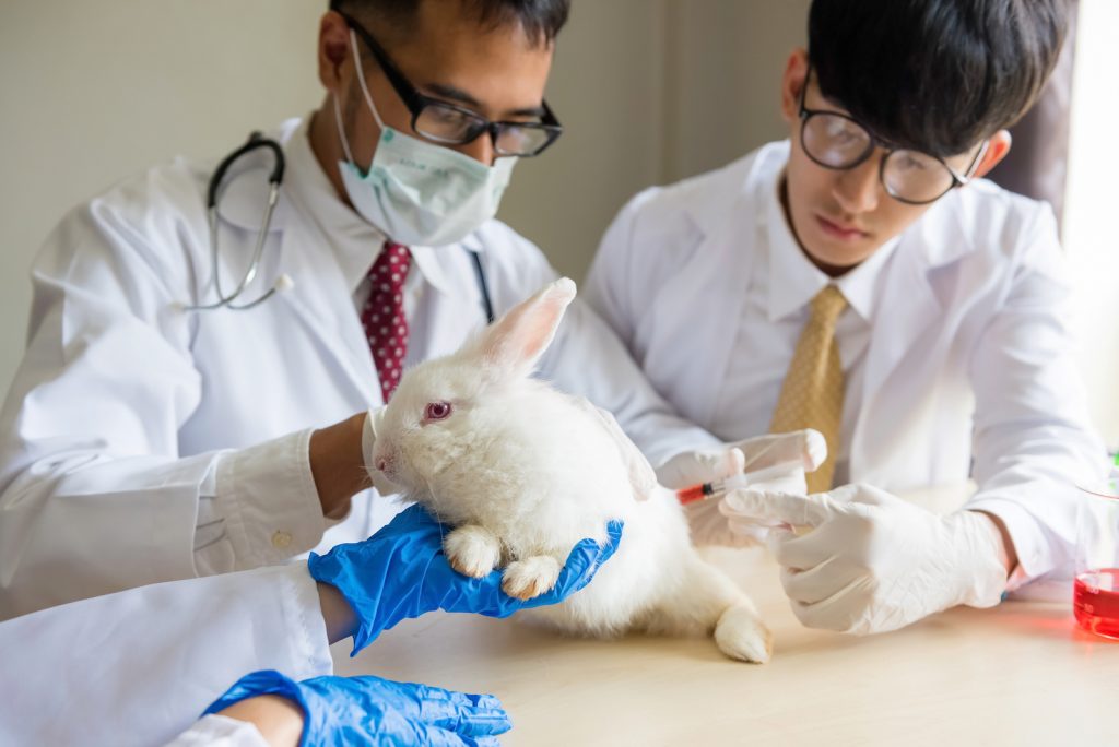 ep-passes-ban-on-animal-testing-main-image