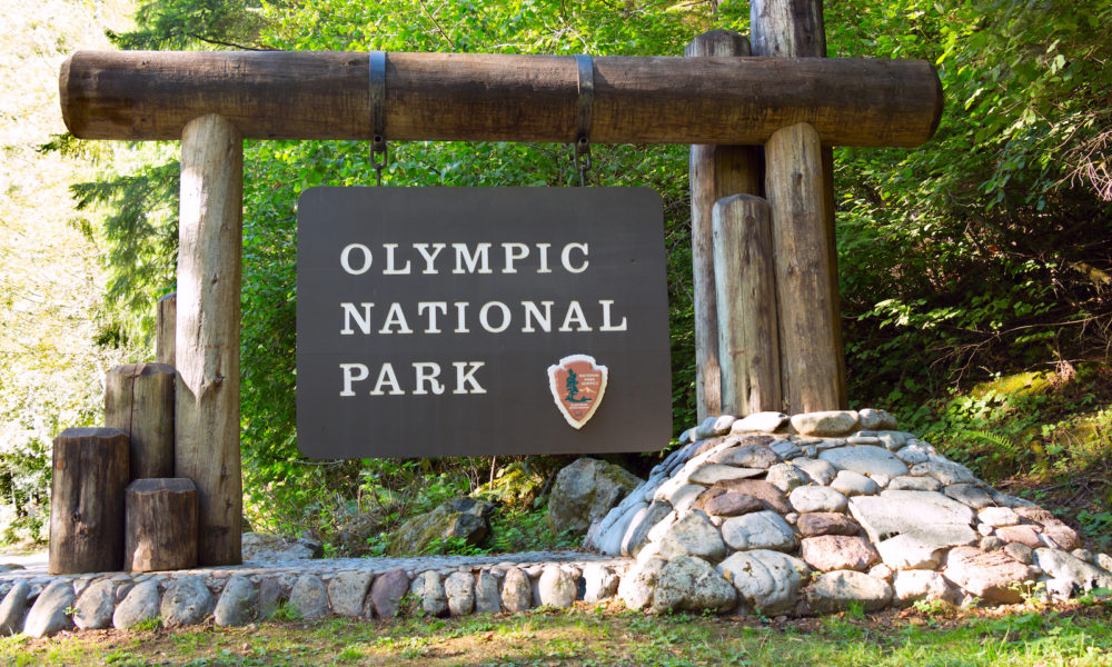 olympic-national-park-main-image