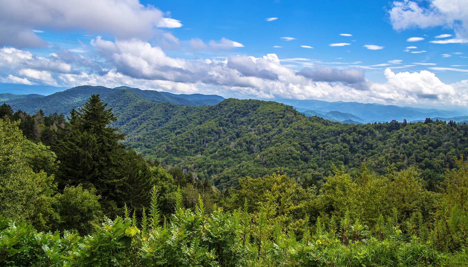 smokey-mountains-main-image