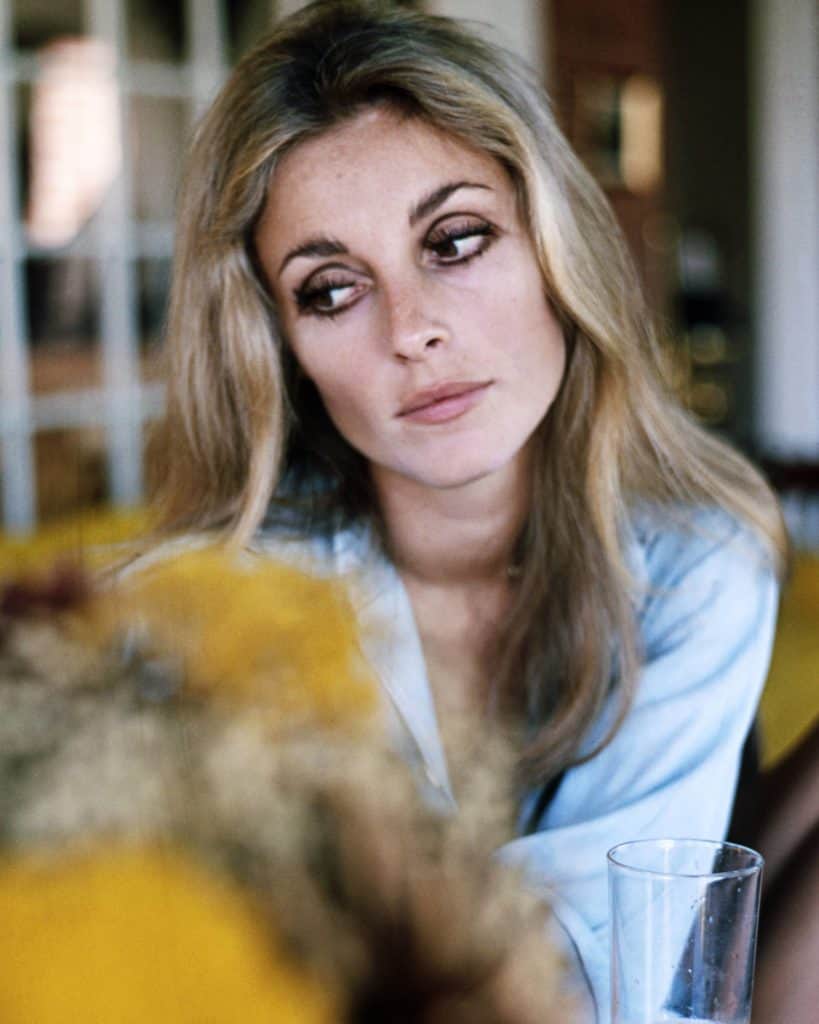 sharon-tate-makeup-tutorial-viva-glam-magazine-katarina-van-derham-marketa-janska