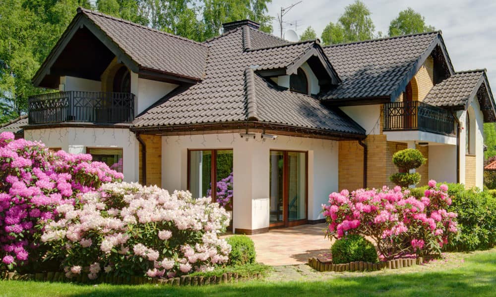 House with beautiful garden full of flowers