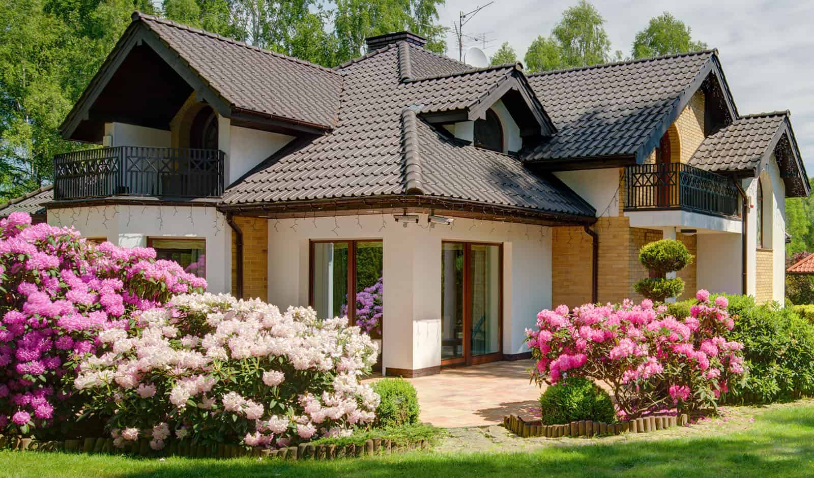 House with beautiful garden full of flowers