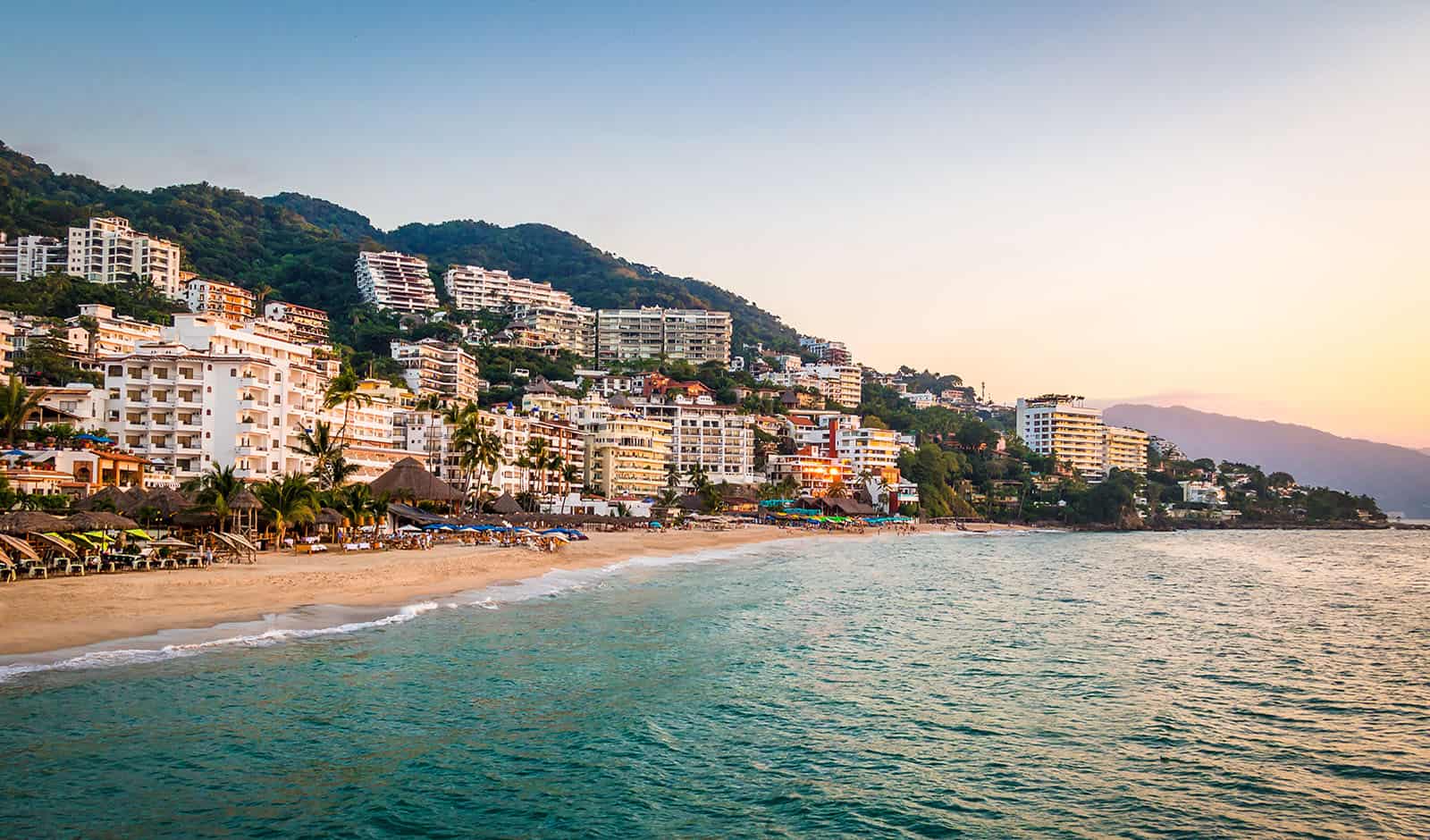 Puerto Vallarta is Recognized for its Vegan Restaurant Offer - Vallarta  Lifestyles