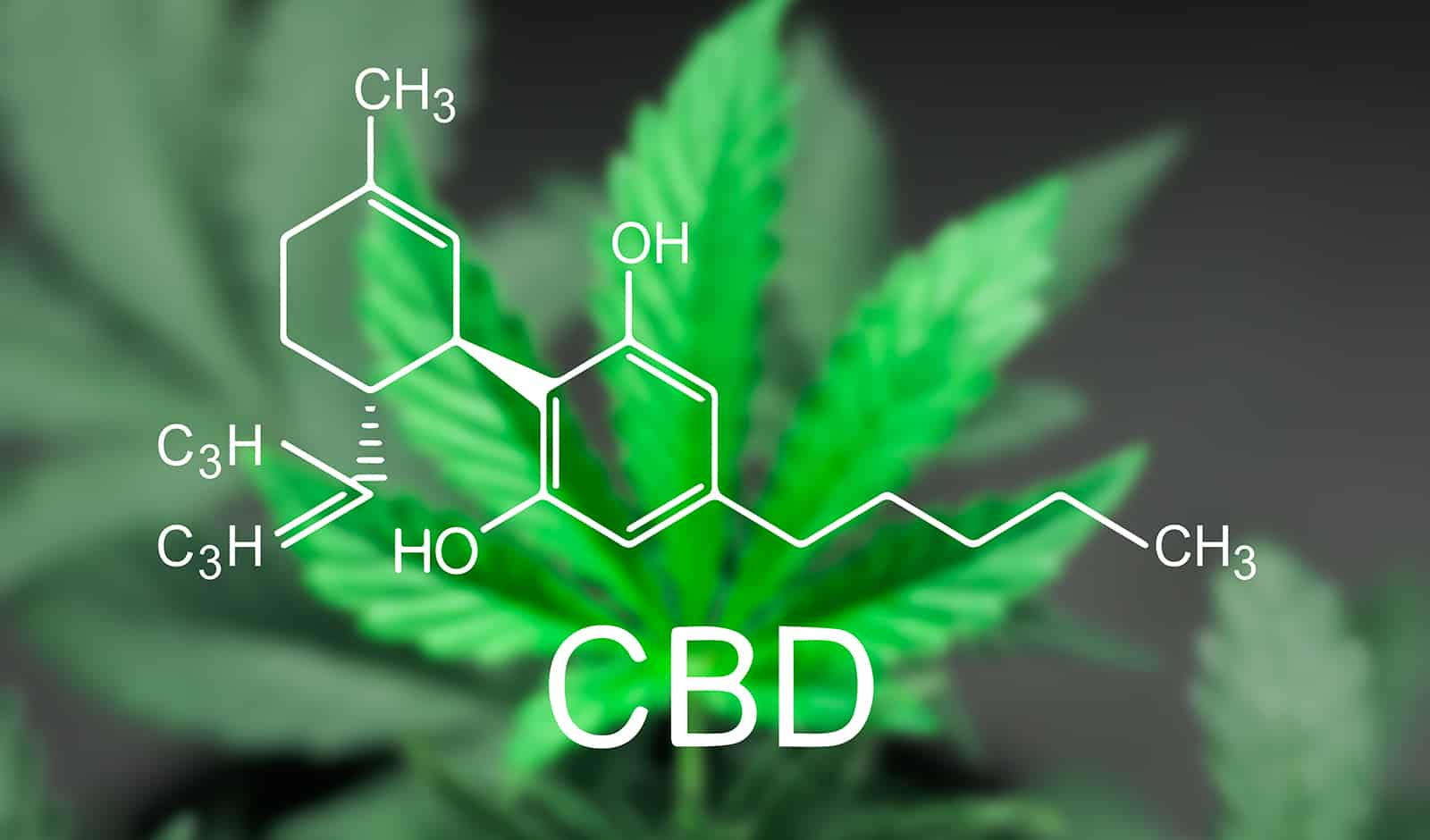 best-cbd-cream-for-pain-main-image