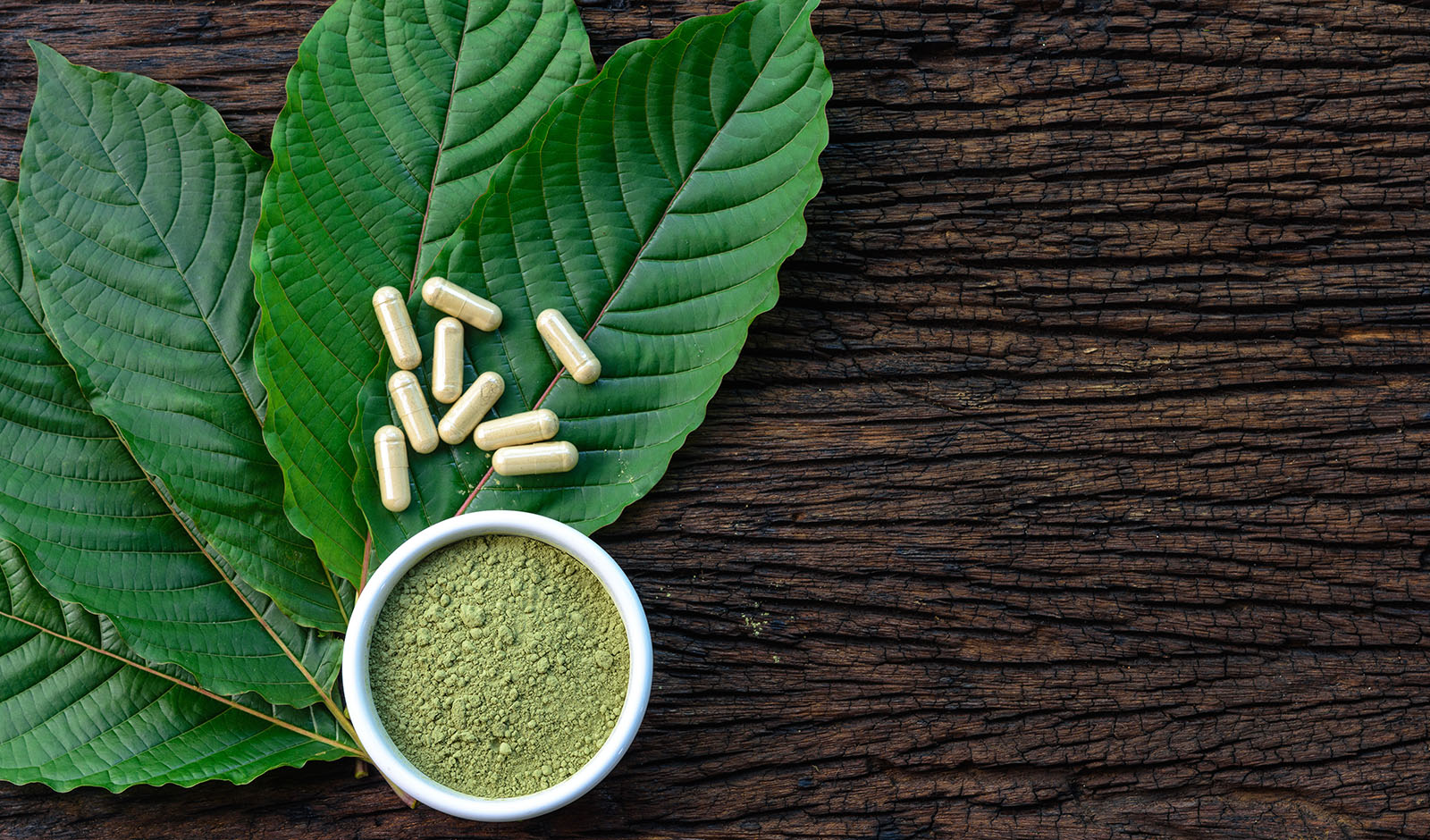 Mitragyna speciosa or kratom leaves with medicinal products in capsules and powder in white ceramic bowl and wooden table, top view