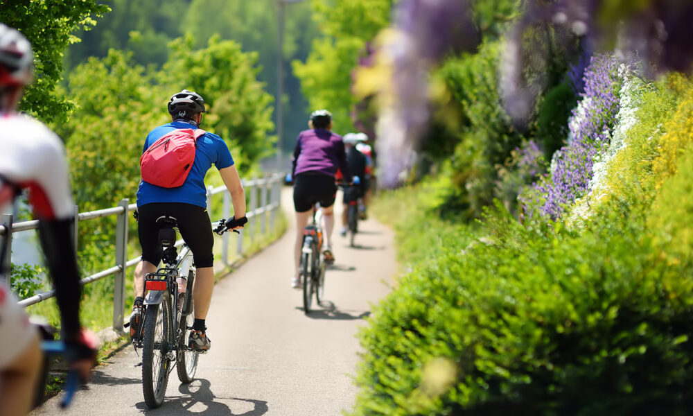 cycling-in-nature-summer-outdoor