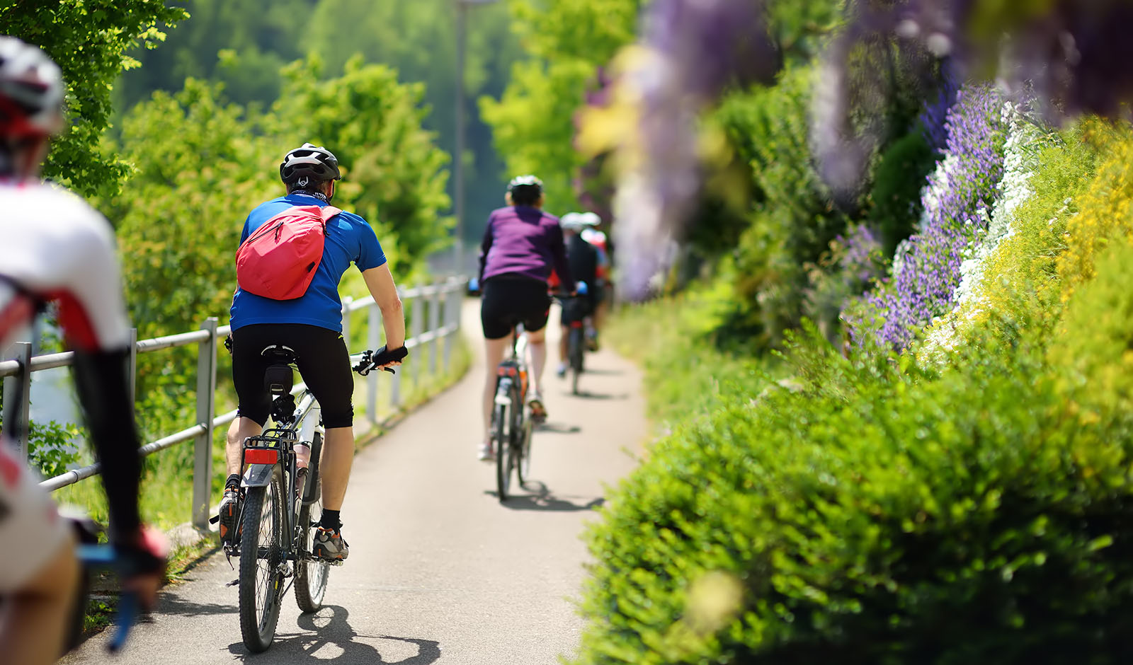 cycling-in-nature-summer-outdoor