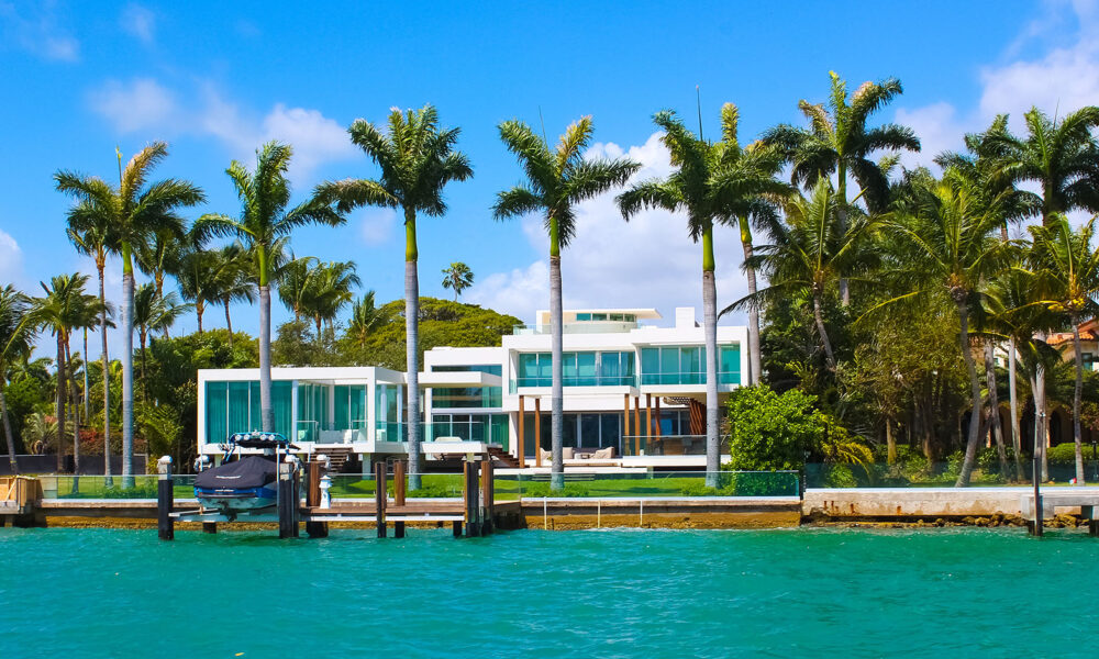 luxury-property-palm-trees-florida